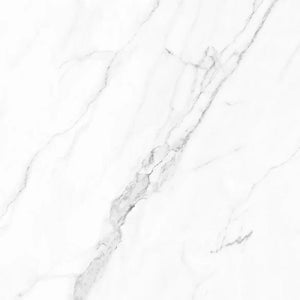 Olimpo 28x28 Polished Marble Look Porcelain Tile