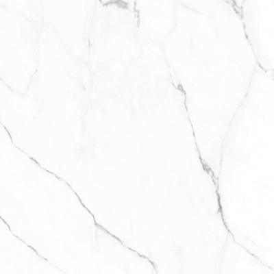 Olimpo 24x48 Polished Marble Look Porcelain Tile