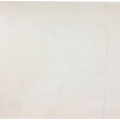 Launton Luster White Polished 24x24 Stone Look Porcelain Tile