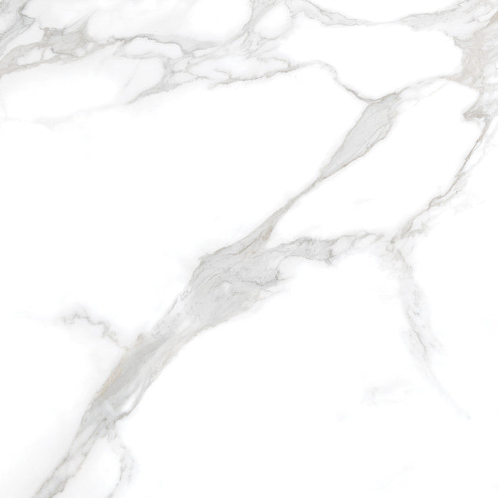 Silver Moon 24x24 Polished Marble Look Porcelain Tile 3