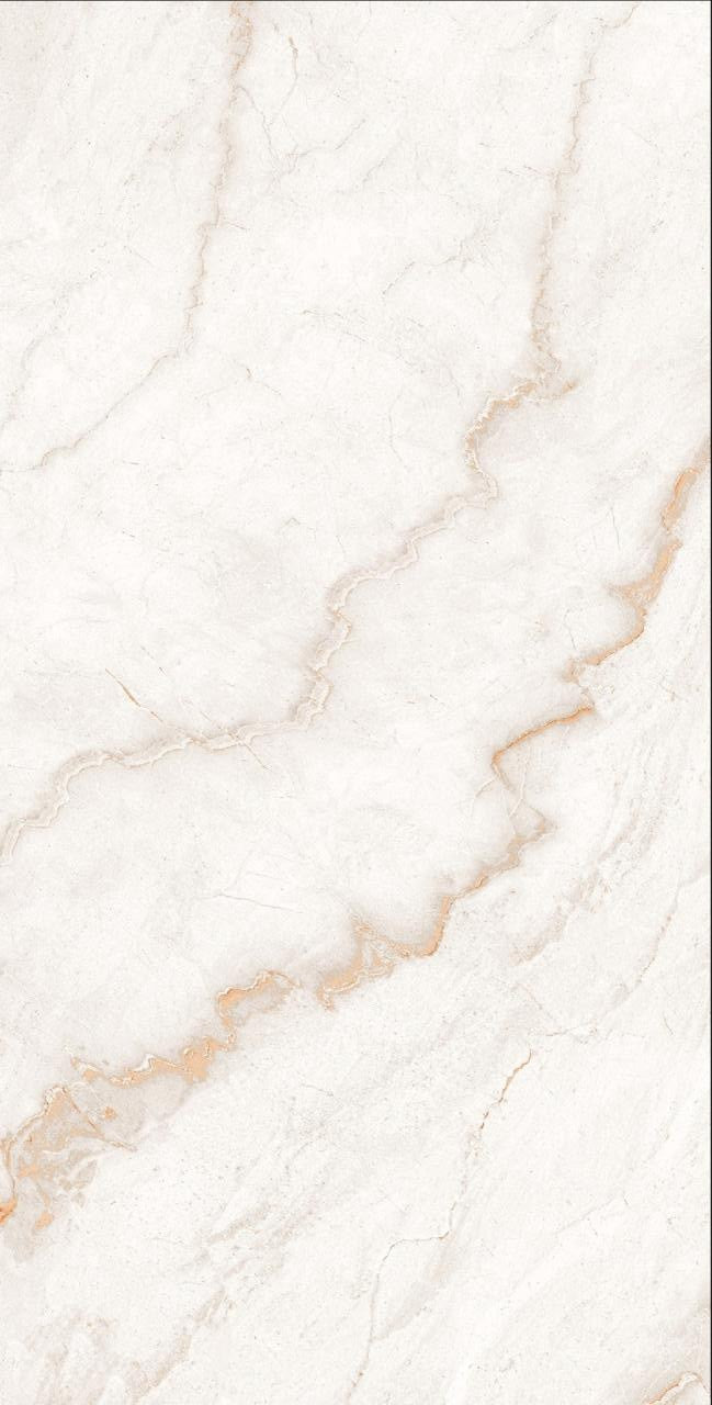 NX Ferrol Ice 24x48 Stone Look Porcelain Tile