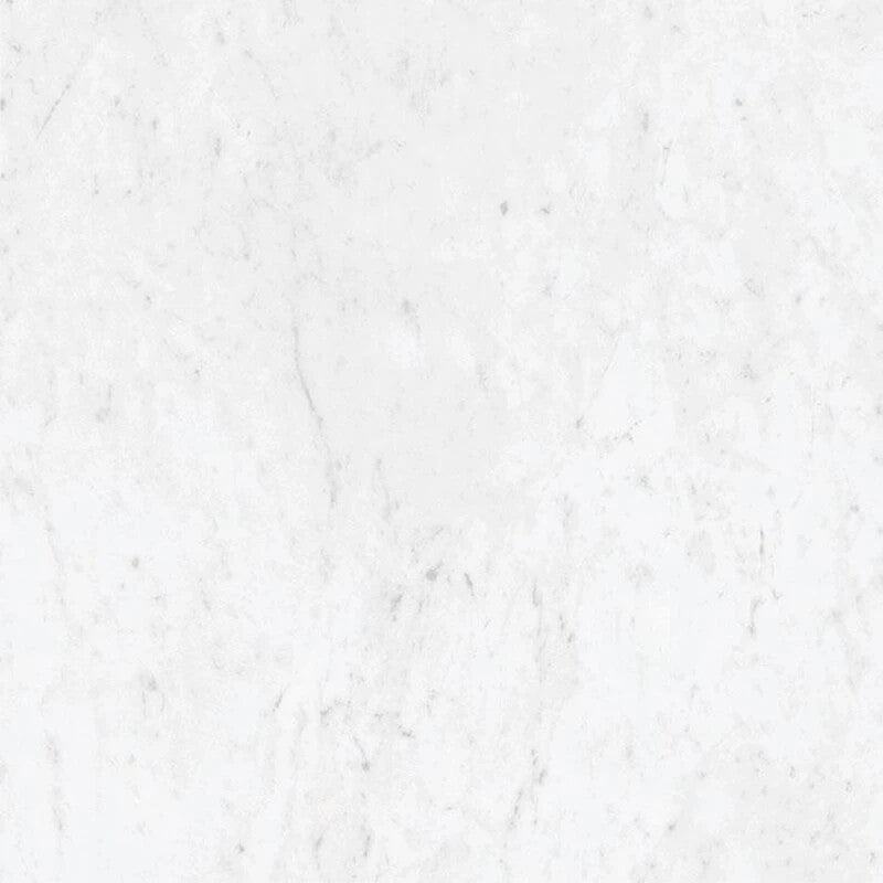 Marmorea Carrara 24x24 Polished Marble Look Porcelain Tile