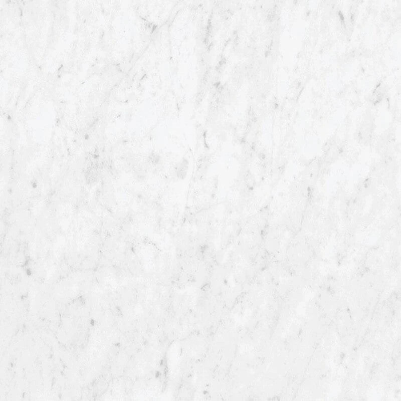 Marmorea Carrara 24x24 Polished Marble Look Porcelain Tile