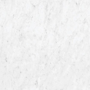 Marmorea Carrara 24x24 Polished Marble Look Porcelain Tile