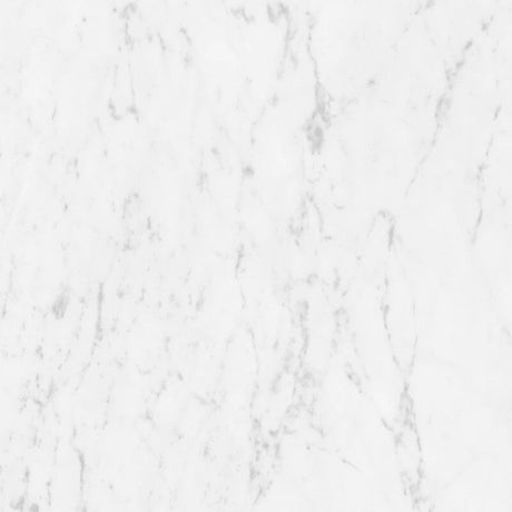 Marmorea Carrara 24x24 Polished Marble Look Porcelain Tile