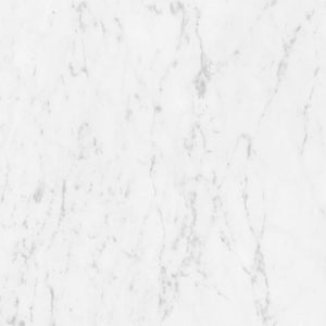 Marmorea Carrara 24x24 Polished Marble Look Porcelain Tile