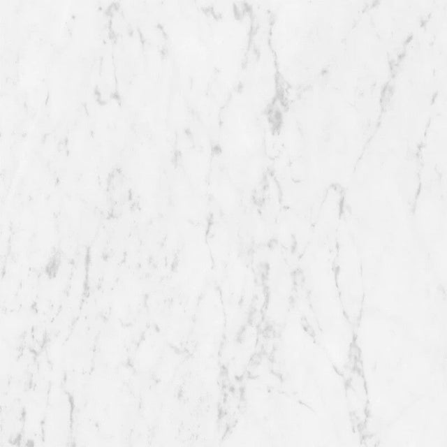 Marmorea Carrara 24x24 Polished Marble Look Porcelain Tile