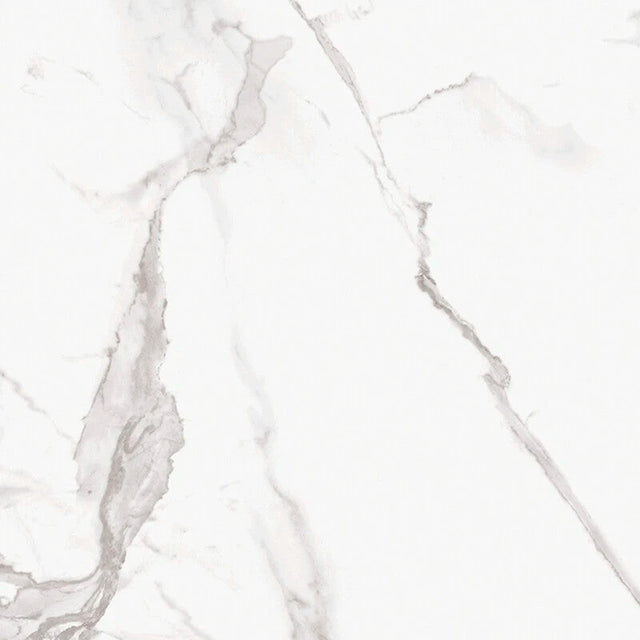 Marmorea Estatuario 24x24 Marble Look Porcelain Tile