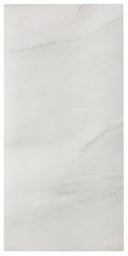 Fossile Matte 12x24 Stone Look Porcelain Tile