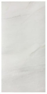 Fossile Matte 12x24 Stone Look Porcelain Tile