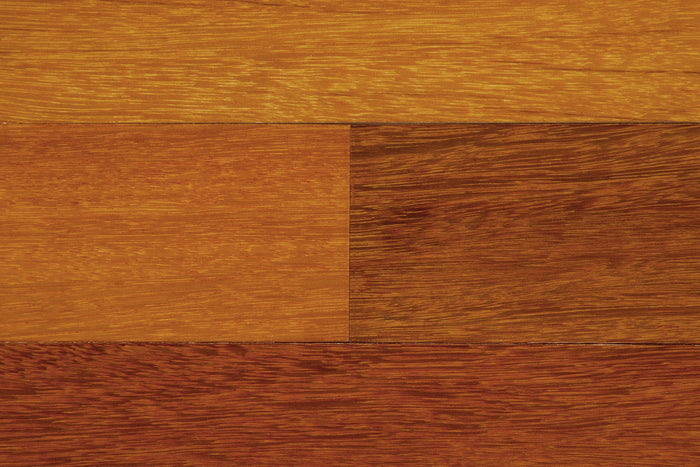 Mazama Exotic Kempas Solid Hardwood Flooring 4