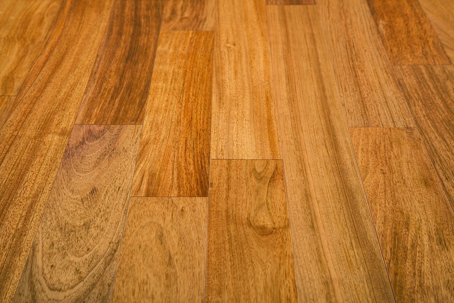 Hardwood - Andes Collection