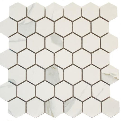 Domus 2" Hex Polished Porcelain Mosaic Tile 12x12 Sheet