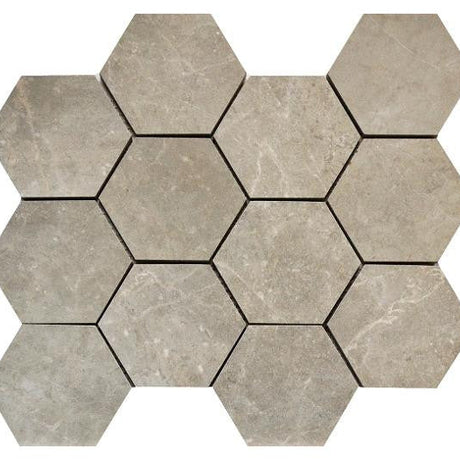 Canova Carnico 3" Hex Matte Porcelain Mosaic Tile 14x12 Sheet