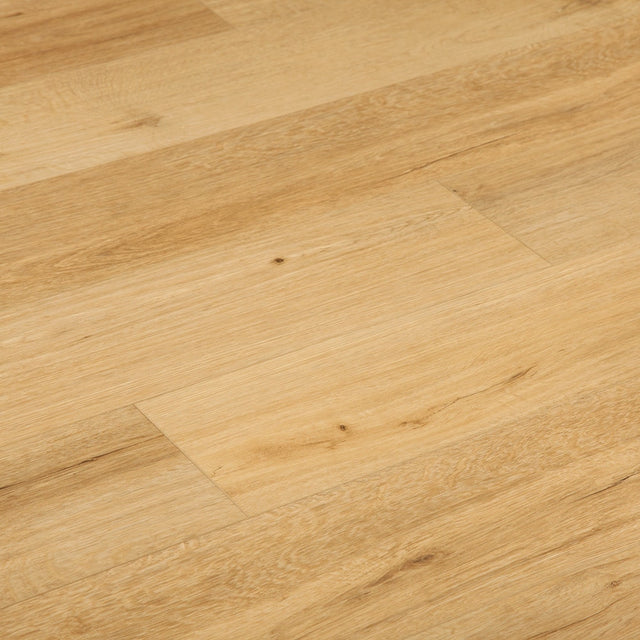 Elevation Waterproof 5.5mm Rigid Core Luxury Vinyl Plank Flooring in Moeraki