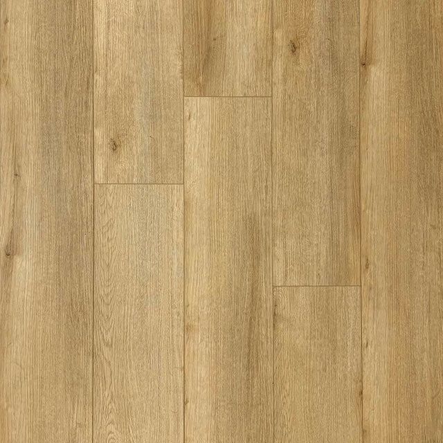 XL Peak Waterproof 5.5mm Rigid Core Luxury Vinyl Plank Flooring in Sprite