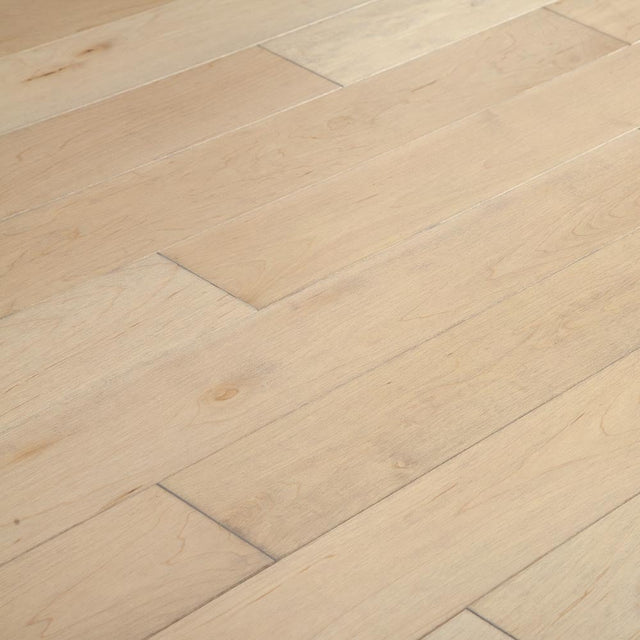 Engineered Hardwood - Foundation Collection - Limited Release in Thompson Hard Maple
