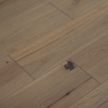 Engineered Hardwood Progressive Collection in Aviation