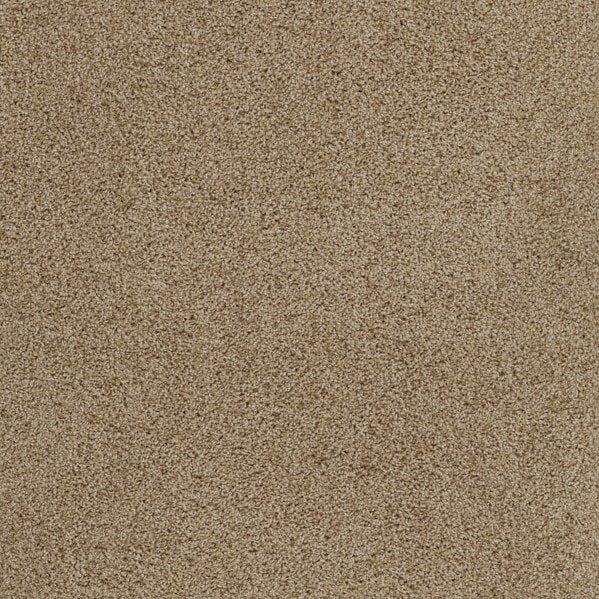 Plush Carpet In A Box - 24" x 40"- 35oz - Serenity Collection