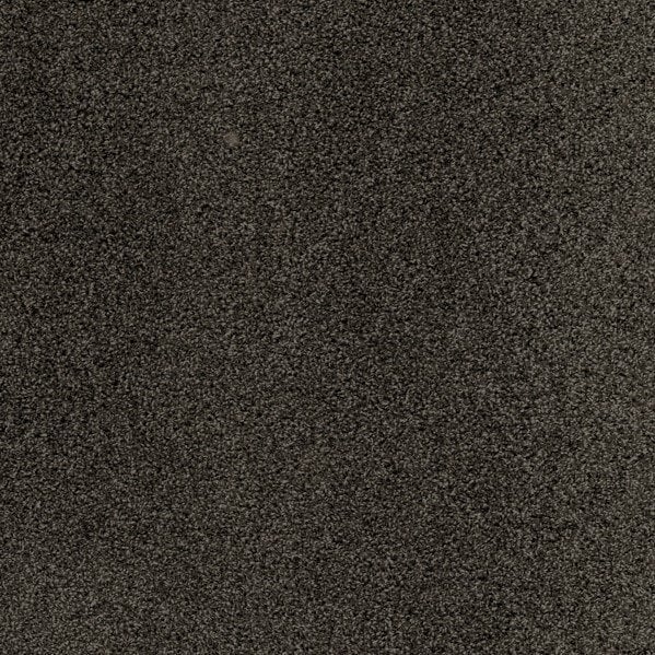 Plush Carpet In A Box - 24" x 40"- 35oz - Serenity Collection in Douglas