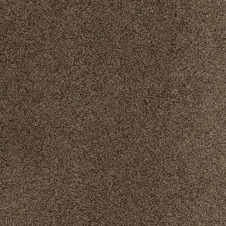 Plush Carpet In A Box - 24" x 40"- 35oz - Serenity Collection in Omni
