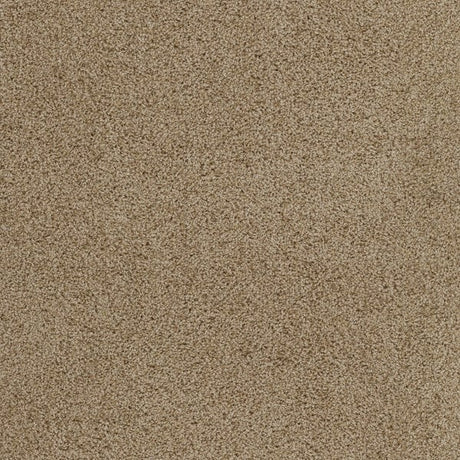 Plush Carpet In A Box - 24" x 40" - 60oz - Affluence Collection in Opus