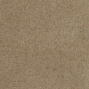 Plush Carpet In A Box - 24" x 40" - 60oz - Affluence Collection