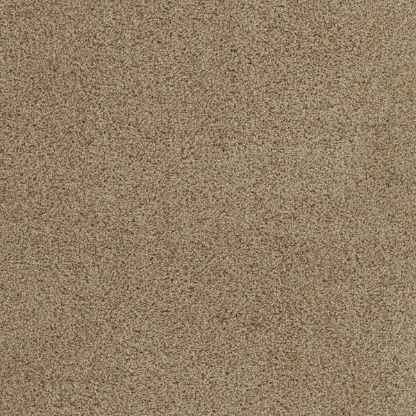 Plush Carpet In A Box - 24" x 40" - 60oz - Affluence Collection