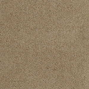 Plush Carpet In A Box - 24" x 40" - 60oz - Affluence Collection