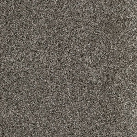Plush Carpet In A Box - 24" x 40" - 60oz - Affluence Collection in Loden