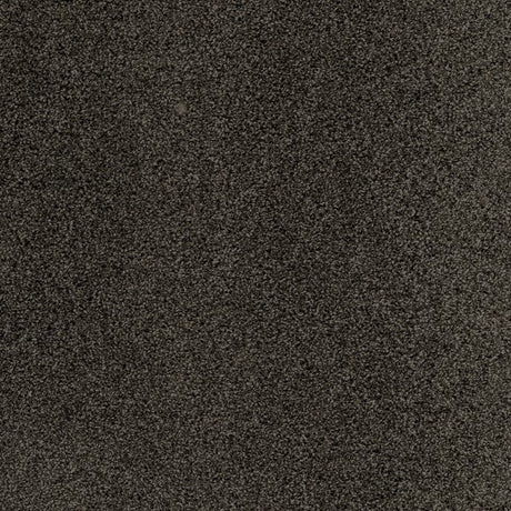 Plush Carpet In A Box - 24" x 40" - 60oz - Affluence Collection in Hovey