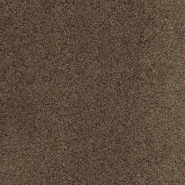 Plush Carpet In A Box - 24" x 40" - 60oz - Affluence Collection in Trillium