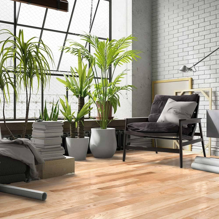 Jasper Canadian Ash Solid Hardwood Flooring 5