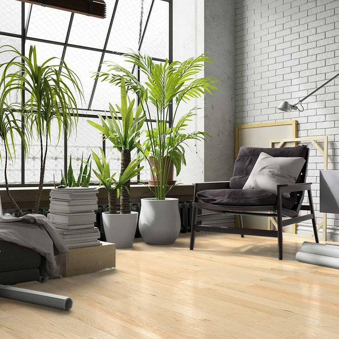 Canadian Hard Maple Solid Hardwood Flooring 5