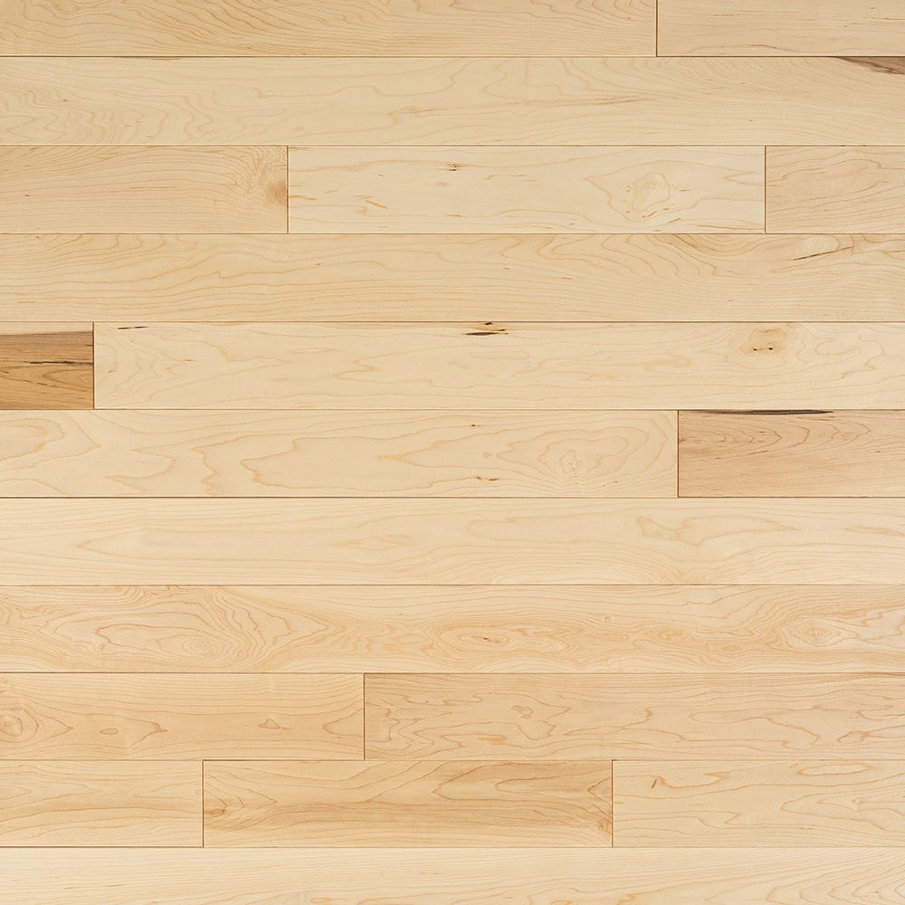 Canadian Hard Maple Solid Hardwood Flooring – BuildDirect