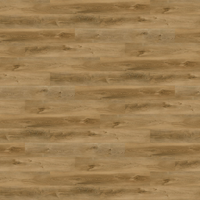 Yellowknife Glue Down Luxury Vinyl Flooring 1