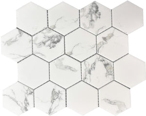 Statuary 3" Hex Glass Mosaic Tile 12x10 Sheet