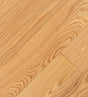 15990842 goldenember 2