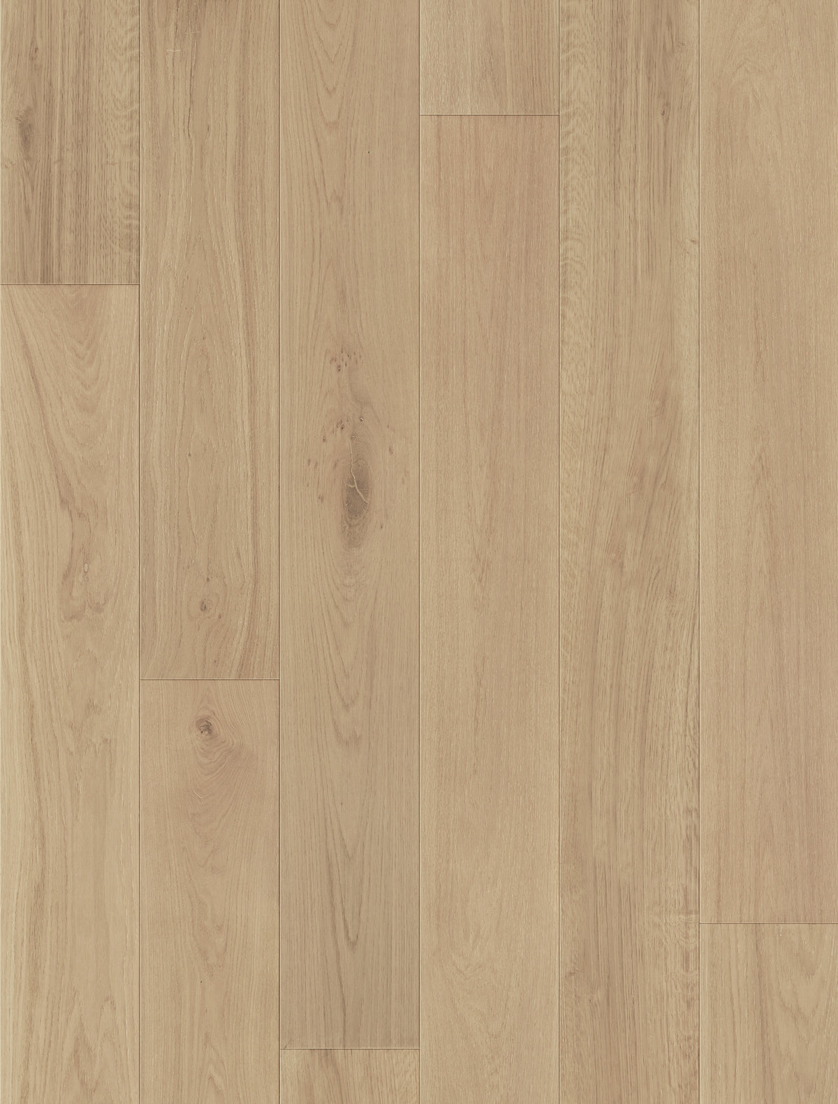 Compass Collection Engineered European Oak Hardwood