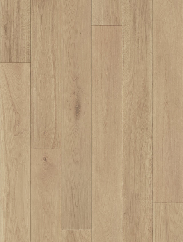 Compass Collection Engineered European Oak Hardwood