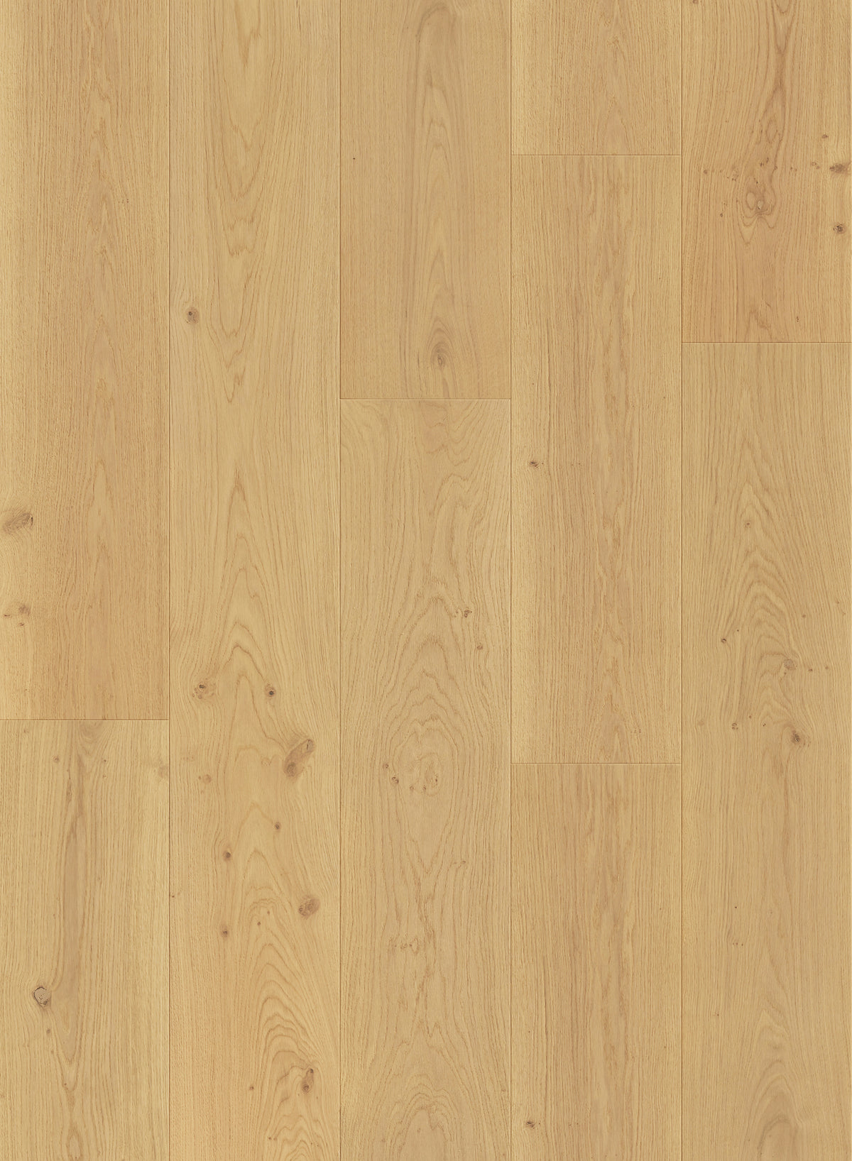 Compass Collection Engineered European Oak Hardwood
