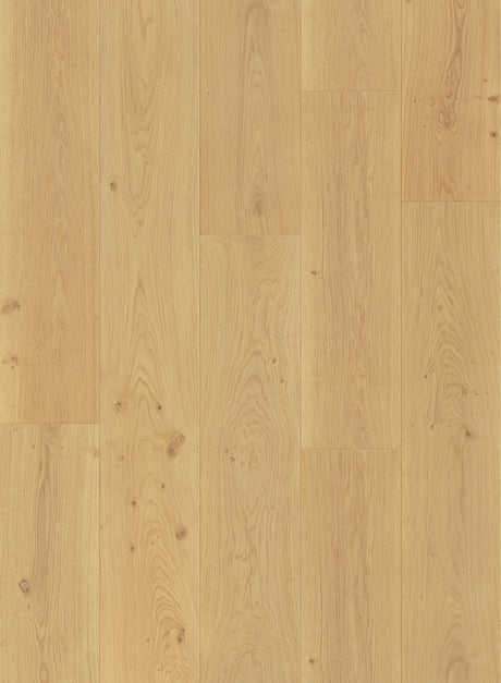 Compass Collection Engineered European Oak Hardwood
