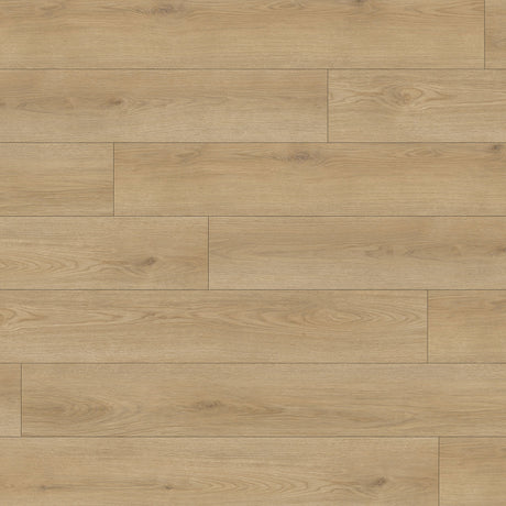 XL Peak Waterproof 5.5mm Rigid Core Luxury Vinyl Plank Flooring in Moraine