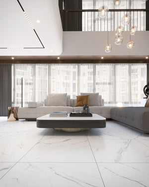 Olimpo 48x48 Polished Marble Look Porcelain Tile