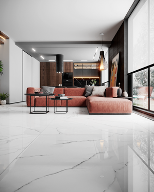 Olimpo 48x48 Polished Marble Look Porcelain Tile