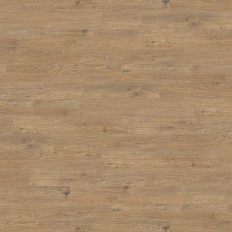 Haro Tritty 200 8mm AC6 Oak Laminate Flooring in Forest Ember