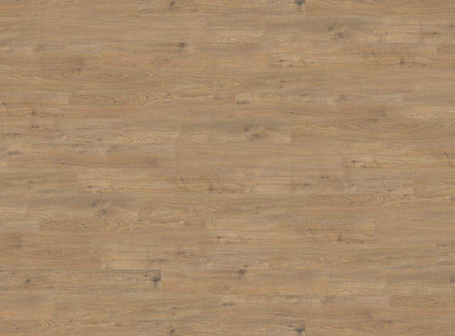 Haro Tritty 200 8mm AC6 Oak Laminate Flooring in Forest Ember
