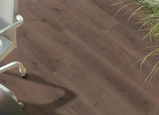 Haro Tritty 200 8mm AC6 Oak Laminate Flooring — Quiet Canyon