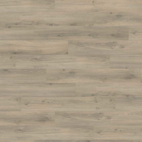 Haro Tritty 200 8mm AC6 Oak Laminate Flooring in Mossy Path