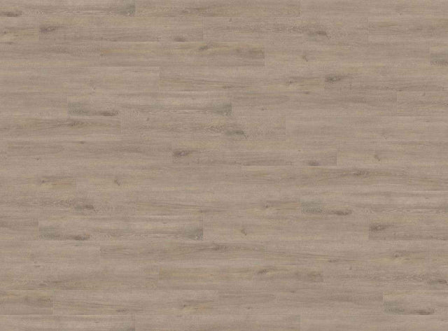 Haro Tritty 200 8mm AC6 Oak Laminate Flooring in Shadow Fir